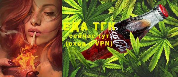 ECSTASY Богородицк