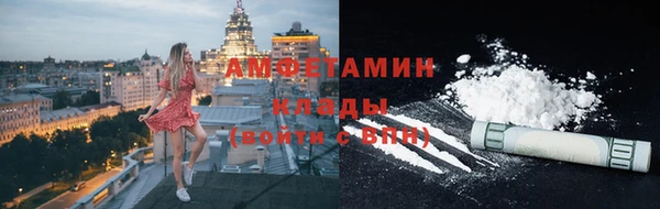 индика Надым