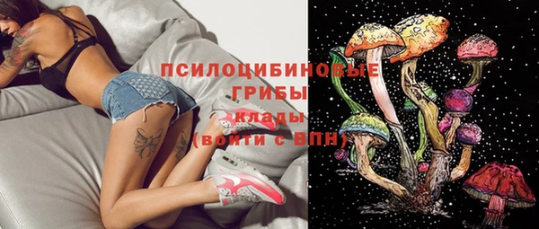 MDMA Белокуриха