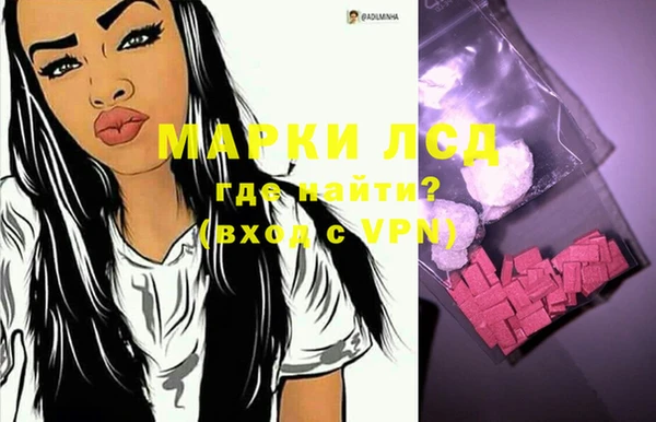 индика Надым