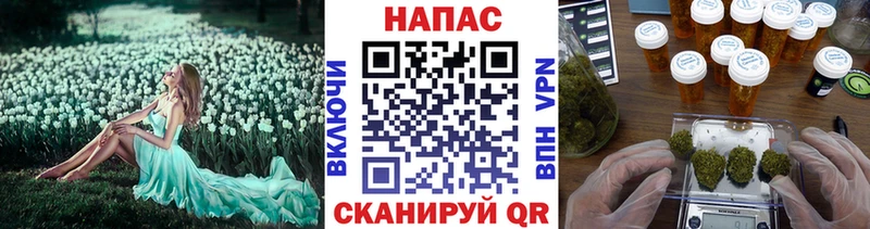 Бошки Шишки гибрид  даркнет сайт  Болохово 